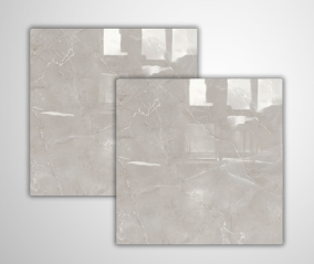 Monaco Gris Pulido 58x58