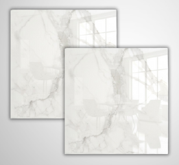 Ravenna Pulido 58x58